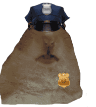 Hamster Visual